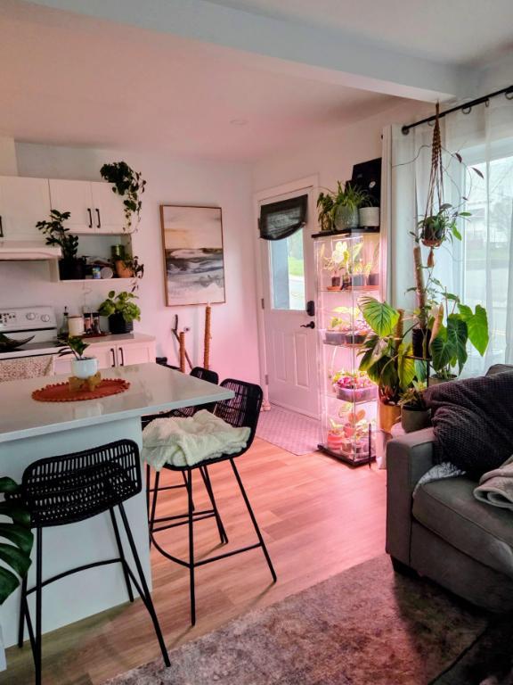 3 1/2, CHESTERVILLE, 825$ par mois. 1 juillet 2025.