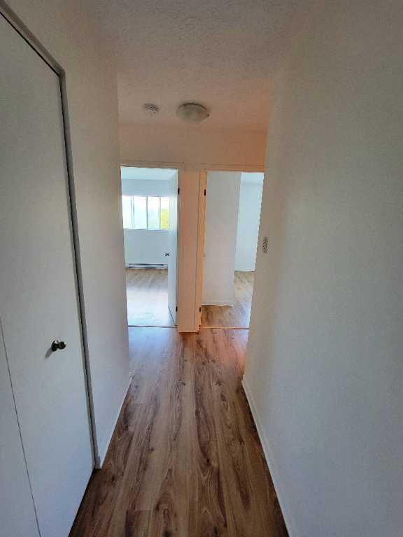 Appartement 4 ½ à louer – Disponible dès le 1er juin