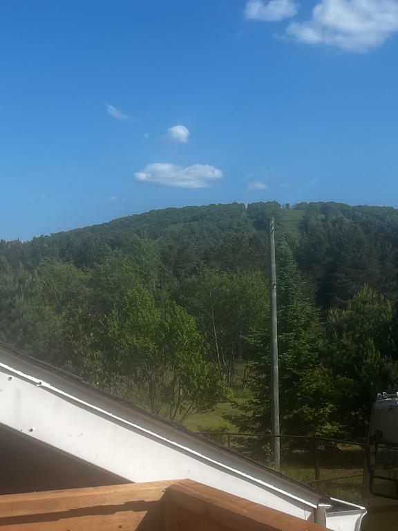 3 1/2 à louer à tremblant