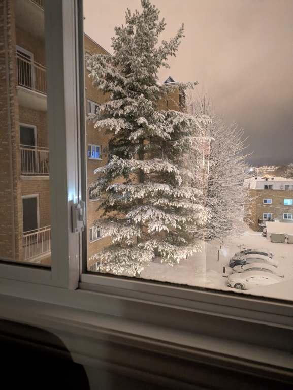 Appartement 4 et demi à sous louer