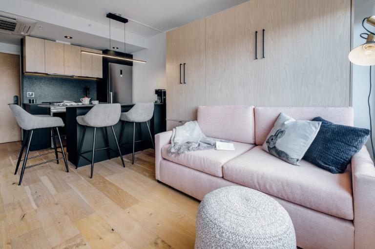 Loft entièrement meublé à louer Saint-Jean-Baptiste juillet 2025