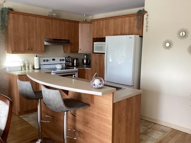 Appartement 4 1/2 à louer Terrebonne
