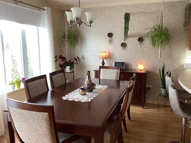 Appartement 4 1/2 à louer Terrebonne