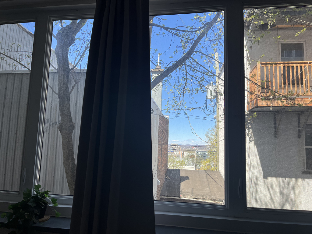 Beau Studio, Meublé+, Rénové, Tranquille