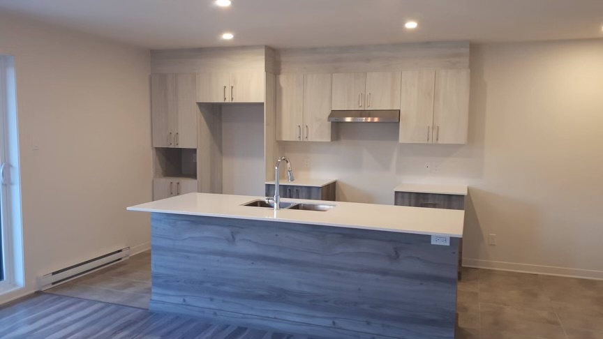 Logement 4 1/2 à Louer Laurentides