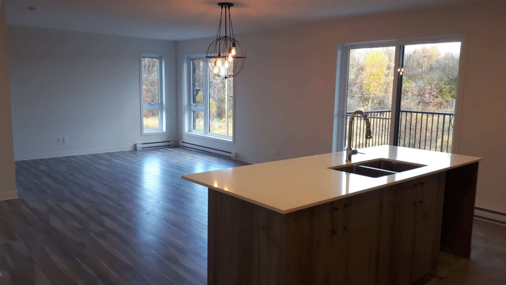 Logement 4 1/2 à Louer Laurentides