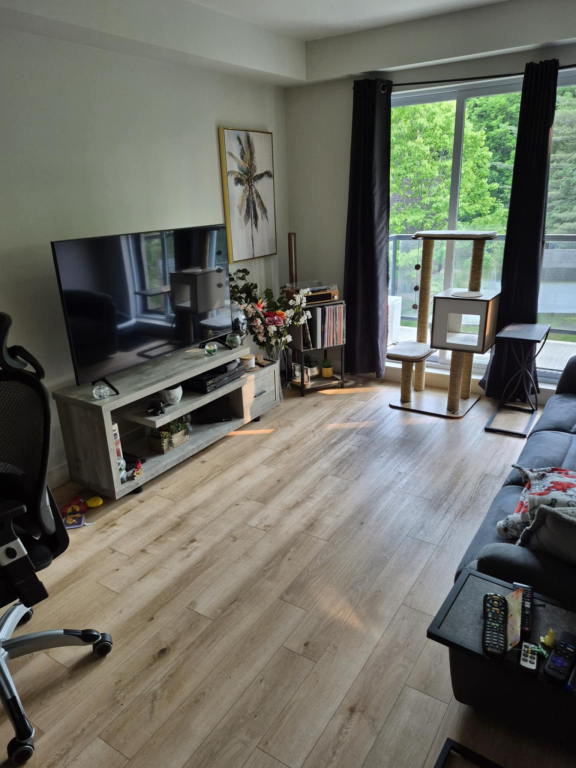 Appartement 3 1/2 A Louer Rapidement