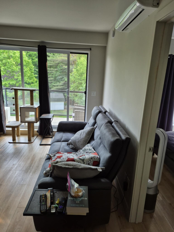 Appartement 3 1/2 A Louer Rapidement