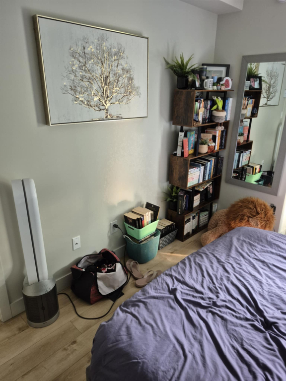 Appartement 3 1/2 A Louer Rapidement