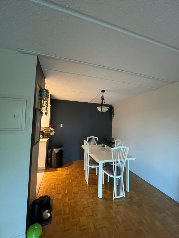 Large Apartment