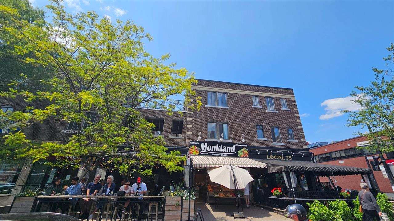 Appartement Côte-des-Neiges/Notre-Dame-de-Grâce (Montréal) À Louer