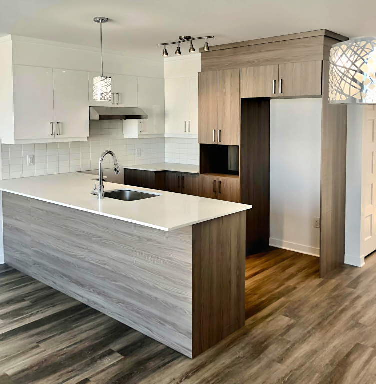 Superbe 4,5 Dans Un Triplex (Ste-Rose)