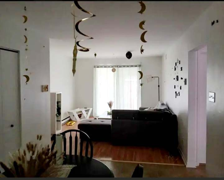 Appartement En Collocation