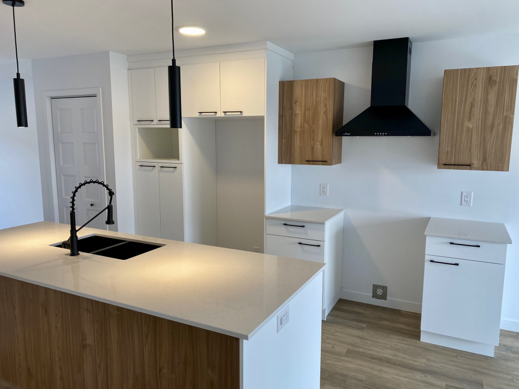 BEAU 4 ½| MONT-BELLEVUE|INTERNET|JUILLET