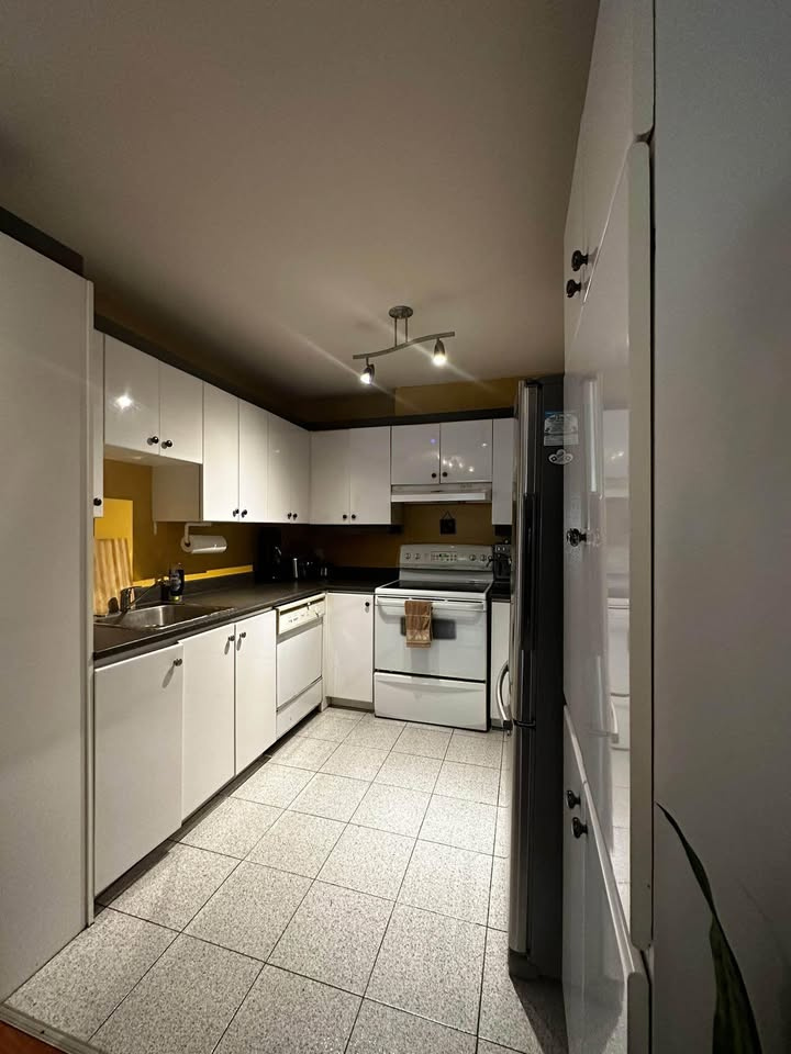 4 1/2 Condo à Louer Rosemon/La Petite-Pa