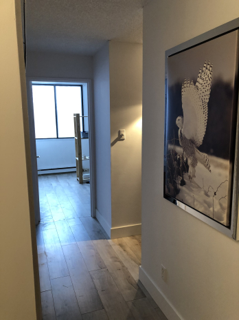 Laval 3 1/2-Montmorency -Tout Inclus