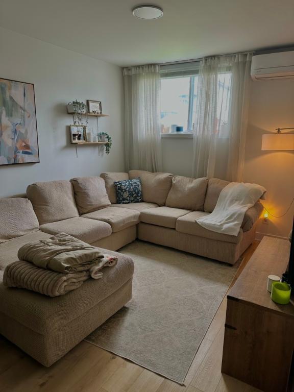 Appartement de 1 chambre et 1 salle de bain