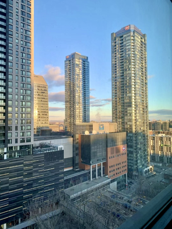 Unfurnished 4 1/2 Closed To Bell Centre