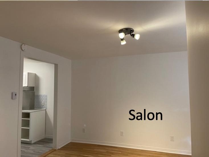 Appartement de 1410 pi3 sur 2 étages - Libre en 48 heures