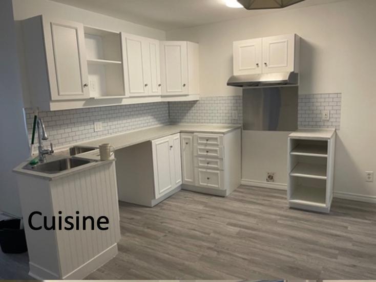 Appartement de 1410 pi3 sur 2 étages - Libre en 48 heures