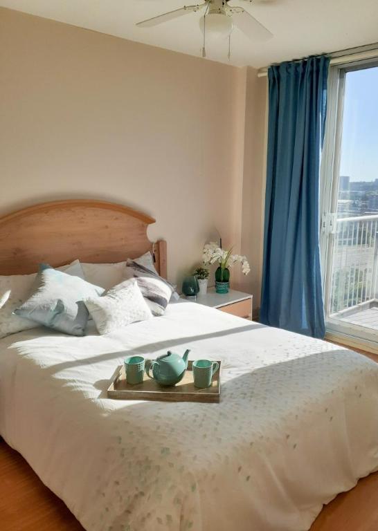 3 1/2 - Montréal - 1 617 $/mois