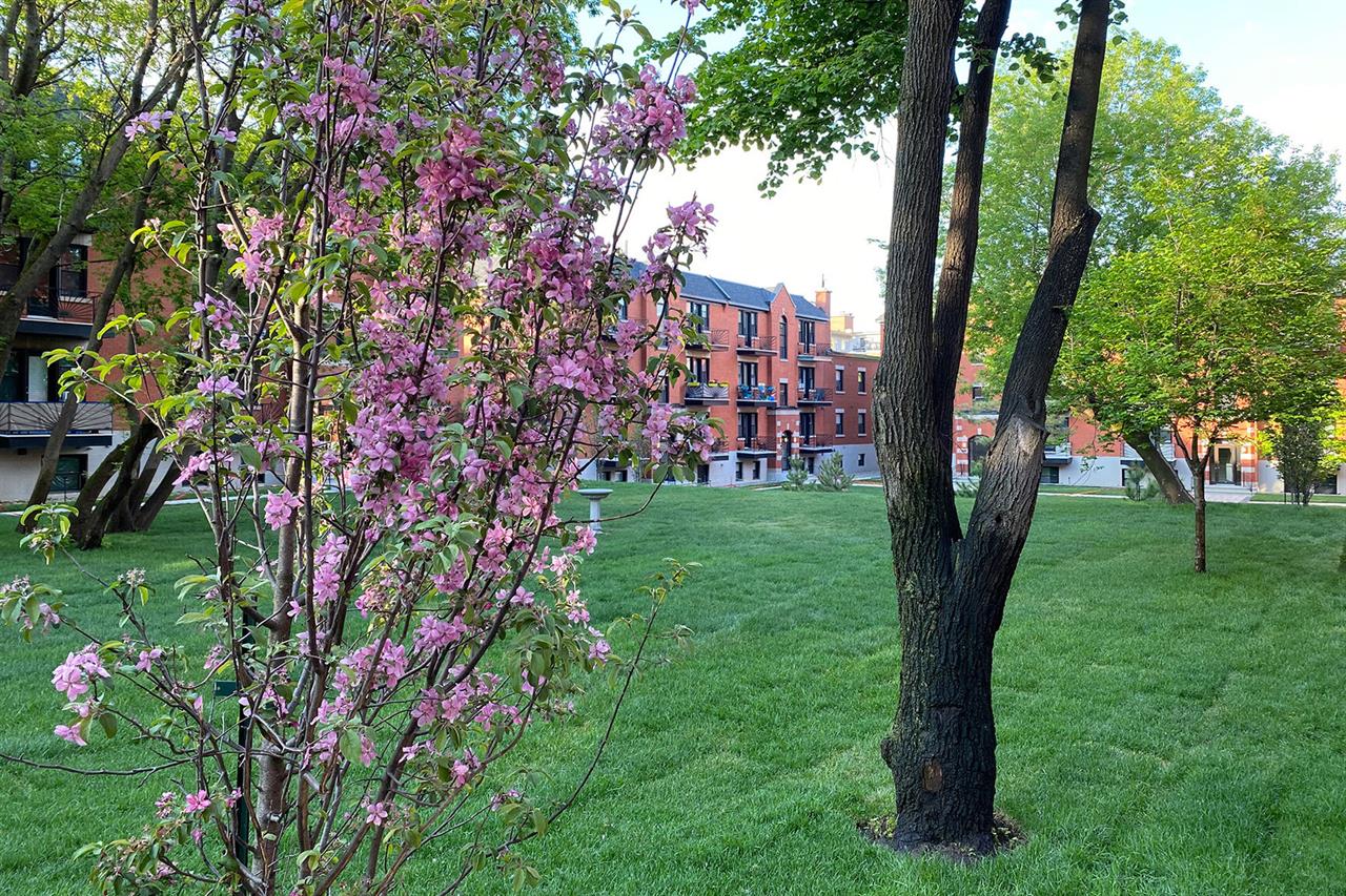 Jardins Des Saules - 1 Bedroom - 5530 Avenue Decelles, Montréal