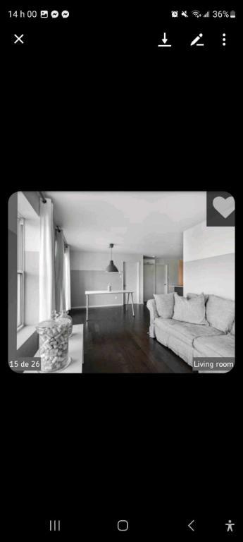 Rosemont beau 4 1/2 à louer