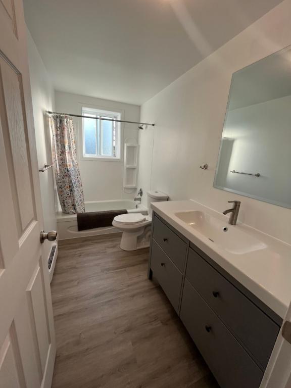 Appartement 3 1/2 à louer (loyer) - Internet inclus