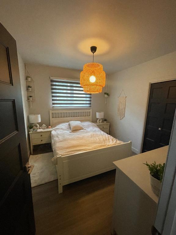 Appartement droit aux chiens !!!✨
