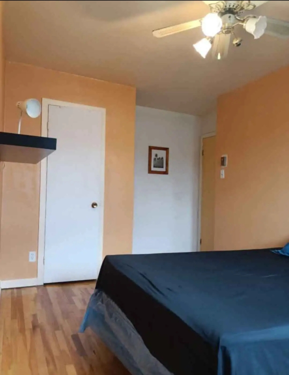 Colocation/ Chambre A Louer