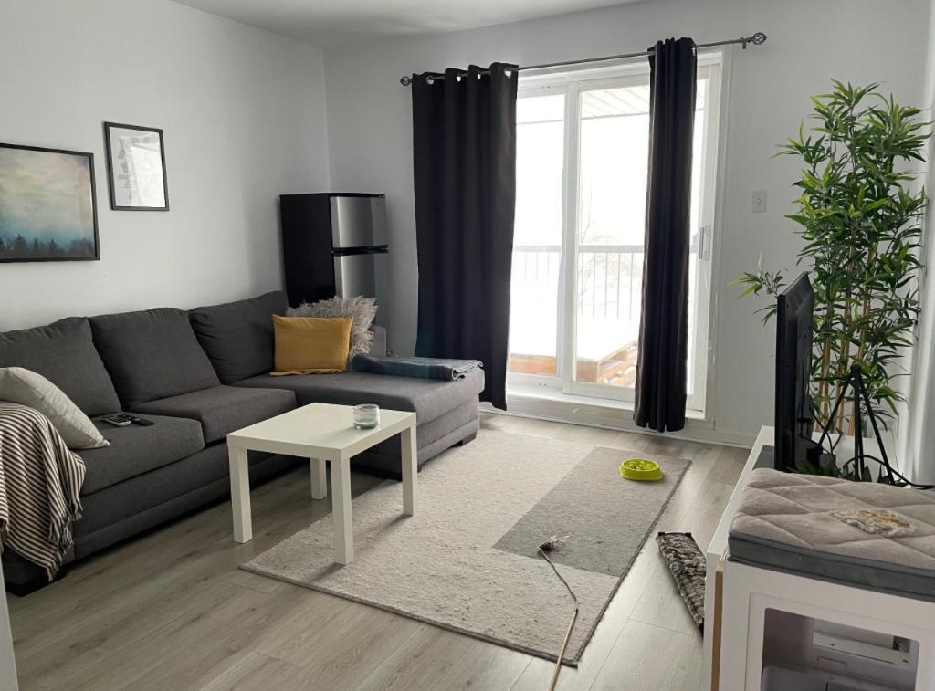 Appartement 4 1/2 - 1er août - Lévis