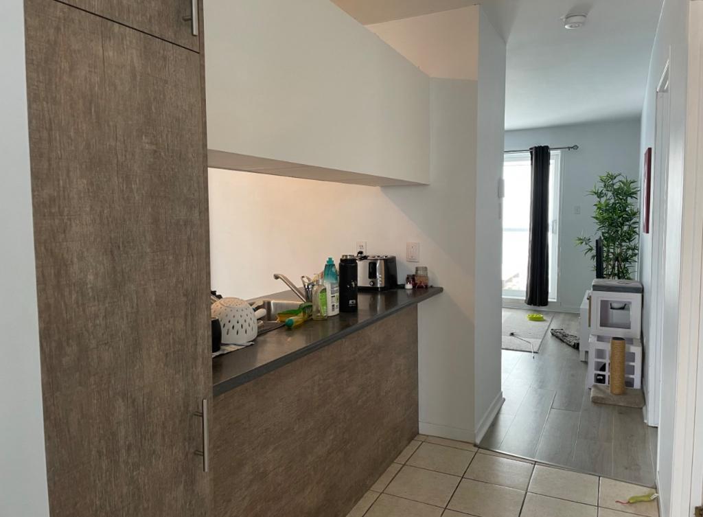 Appartement 4 1/2 - 1er août - Lévis