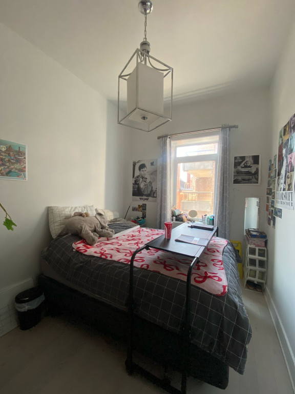 McGill Area - Superb 5 1/2 Furnished
