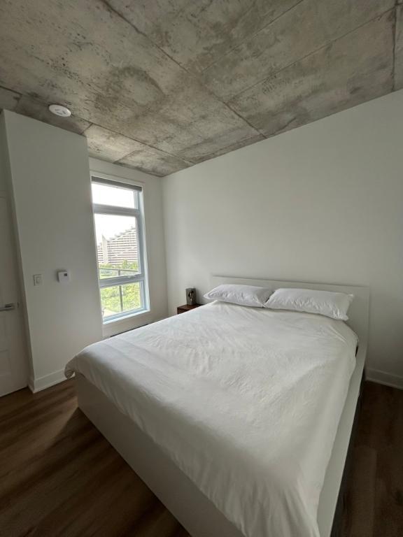 Cession de bail/ 1er mois GRATUIT/DONNE meubles!