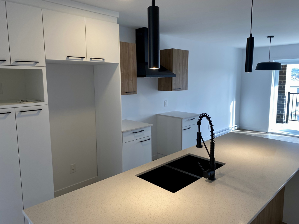 BEAU 3 ½ | CONSTRUCTION RÉCENTE| 1 215$