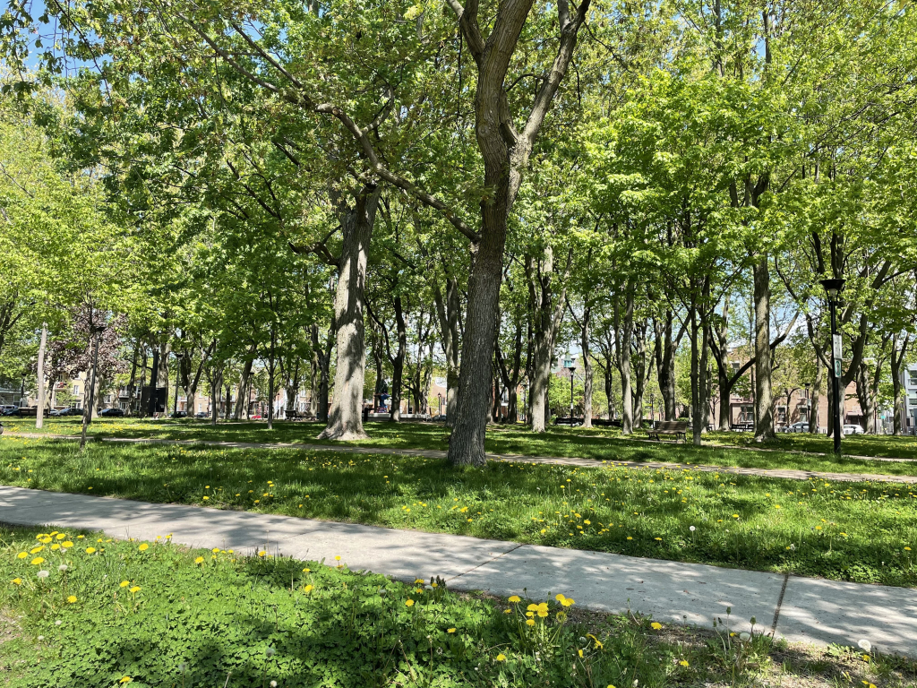 6 1/2 3ème étage Vue Sur Le Parc Saint-P