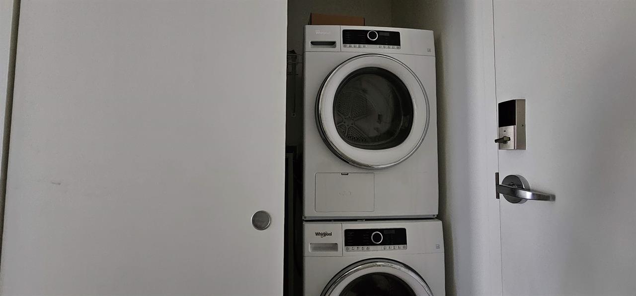 Studio - Montréal - $1,295 /mo