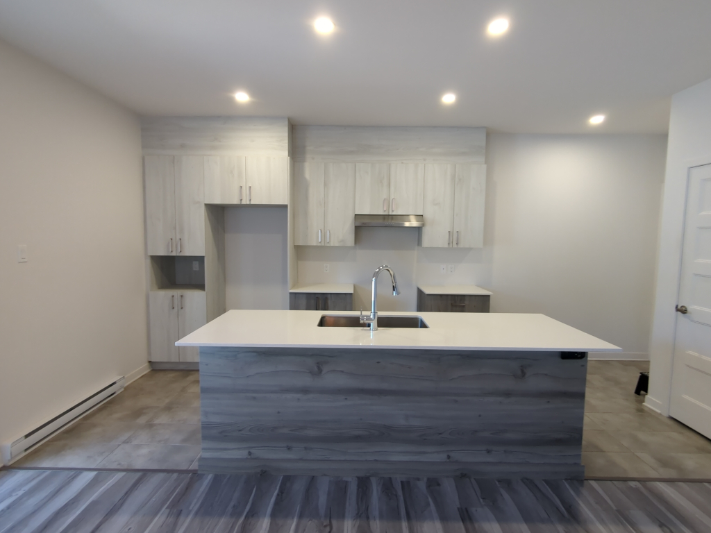 4 & 1/2 Demi Sous-Sol à Lachute Condo St