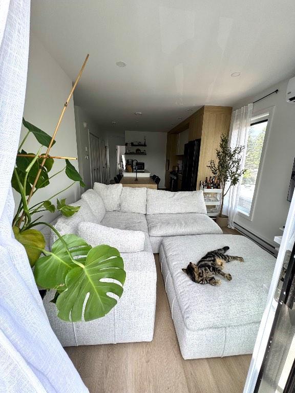 Logement 3 1/2 disponible en location