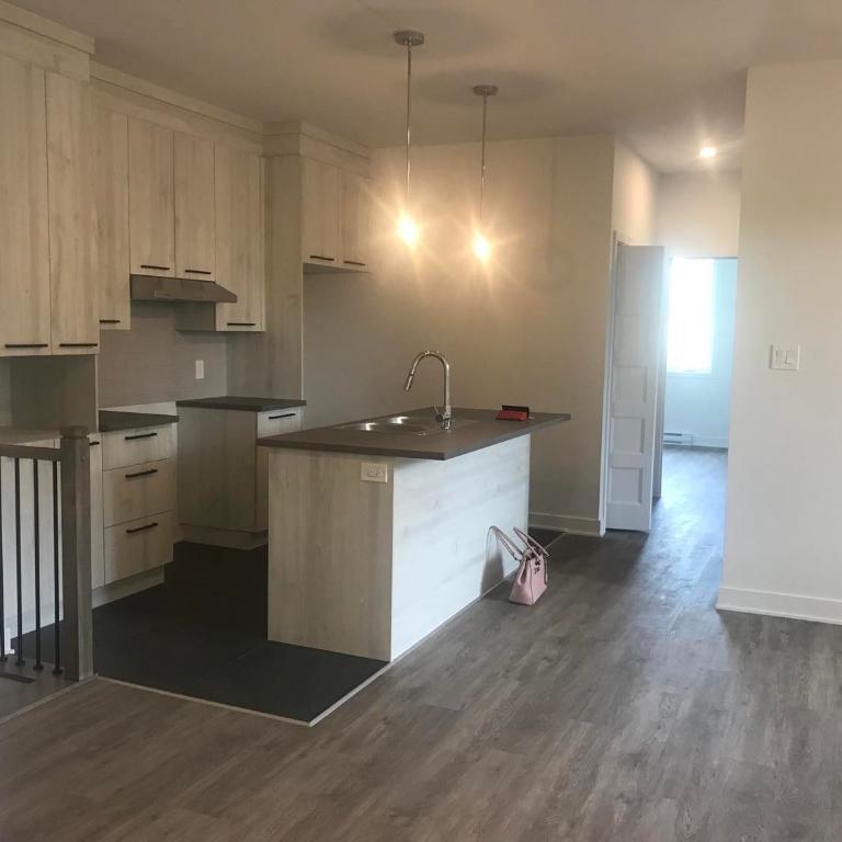 4 1/2 de style condo Demi Sous-Sol/ 2 Bedroom Apartment For Rent Basement