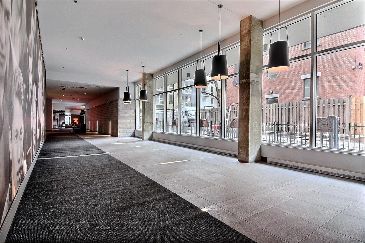 Appartement Ville-Marie (Centre-Ville, Vieux-Montréal) À Louer