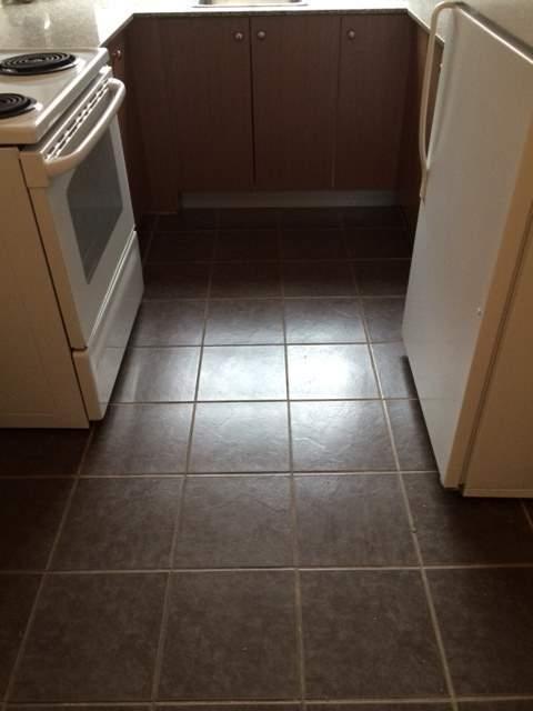 1 CH - 1 SDB - Côte Saint-Luc - $1,400 /mo