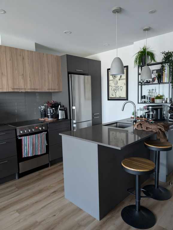 Condo 3 1/2 - Montmorency