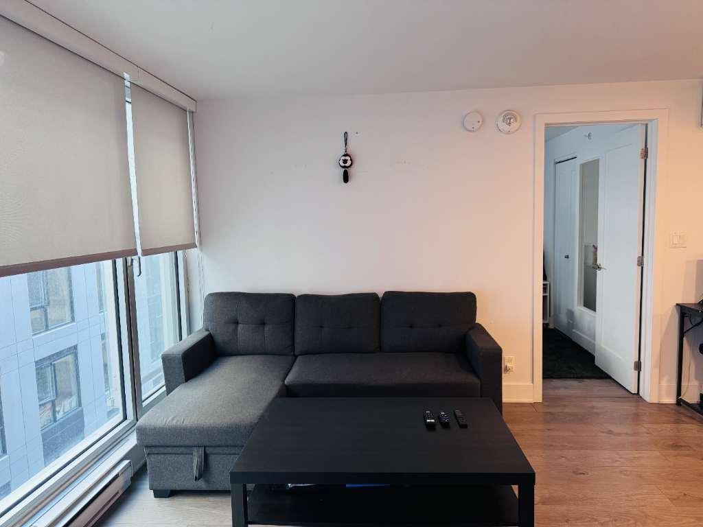 Bel appartement d'une chambre facilement accessible au centre-ville avec un bail d'un an. Si vous êtes intéressé, je peux payer 1 mois de loyer.