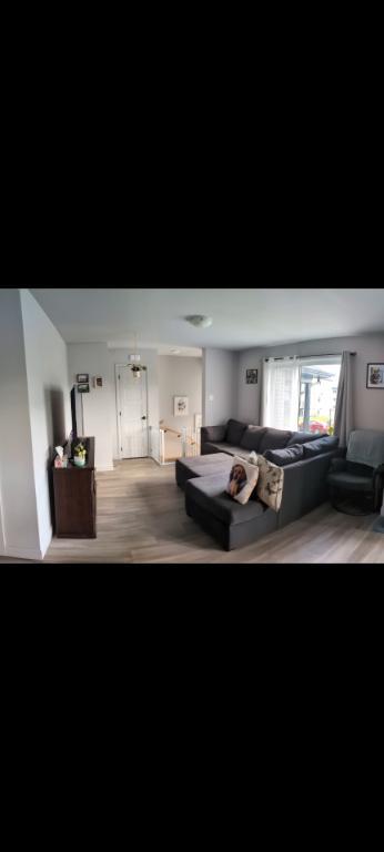 Appartement 4 1/2 Drummondville, animaux acceptés