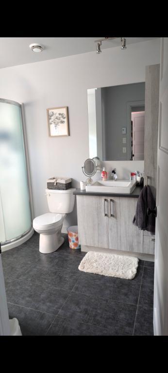 Appartement 4 1/2 Drummondville, animaux acceptés