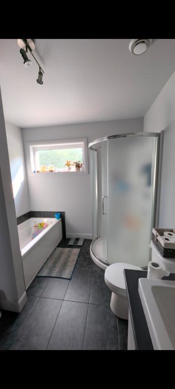 Appartement 4 1/2 Drummondville, animaux acceptés