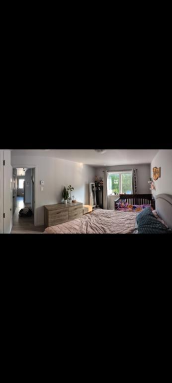 Appartement 4 1/2 Drummondville, animaux acceptés