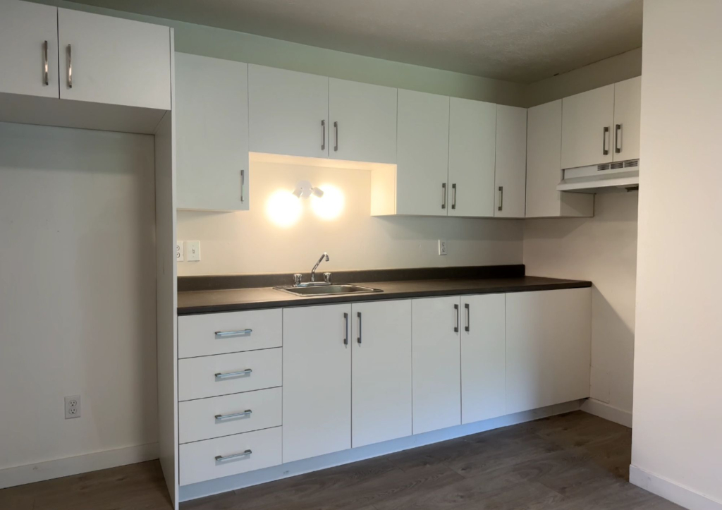 SUPERBE 3 ½ |EN RÉNOVATION|SEPTEMBRE
