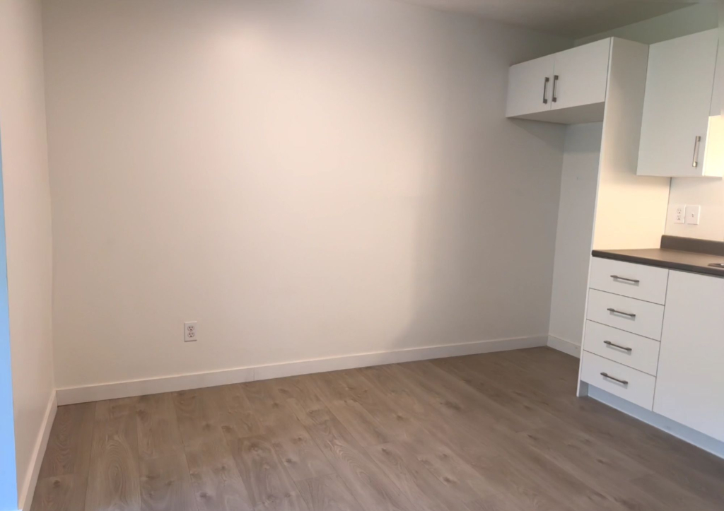 SUPERBE 3 ½ |EN RÉNOVATION|SEPTEMBRE
